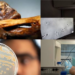 Scientists Use Yeast in 5,300-year-old Mummy to Make Sourdough Bread