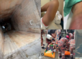 “I Thought It Was My Last Day”: Malaysian Man Shares Recovery After Surviving 12-Metre Drain Fall