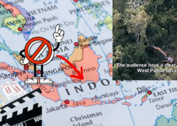 Documentary Exposing Deforestation and Land Clearing from Papua Is Banned Across Indonesia
