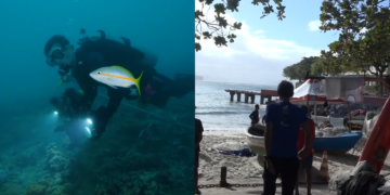 Coral crisis – Rising temperatures threaten Brazil’s reefs and food security across the Global South