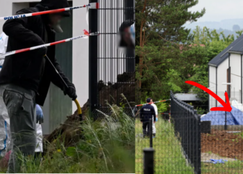 Doctor In Poland Charged After 34 Foetuses Found Hidden In Garden At Former Home