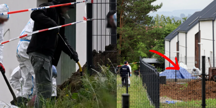 Doctor In Poland Charged After 34 Foetuses Found Hidden In Garden At Former Home