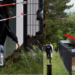Doctor In Poland Charged After 34 Foetuses Found Hidden In Garden At Former Home