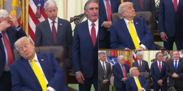 Trump appears to take Oval Office snooze AGAIN just days after Rubio claimed president ‘never rests’