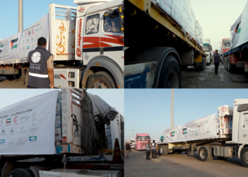 UAE aid convoys carry 740 tonnes of food supplies into Gaza