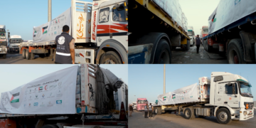 UAE aid convoys carry 740 tonnes of food supplies into Gaza
