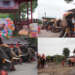 ‘World’s first’ mixed-sex elephant twins celebrate second birthday in Thailand