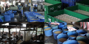 Indonesia faces soybean price crisis as rising US dollar squeezes margins
