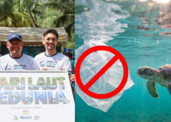 56 Islands In Malaysia Ban Plastic Bags To Save Sea Turtles From Micro Plastics