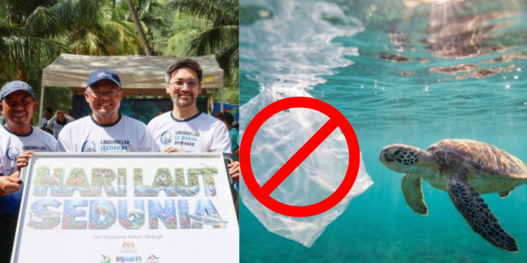 56 Islands In Malaysia Ban Plastic Bags To Save Sea Turtles From Micro Plastics