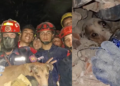 Rescuers miraculously save trapped dog buried beneath rubble after earthquakes devastate Venezuela