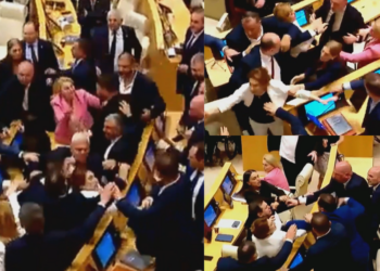 Georgian MPs brawl during chaotic session of parliament