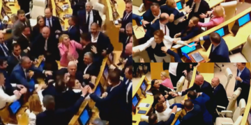 Georgian MPs brawl during chaotic session of parliament