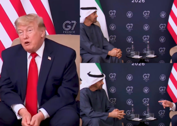 Trump’s ‘six seven’ – US president goes VIRAL for apparent Gen Alpha reference at UAE bilateral Meeting