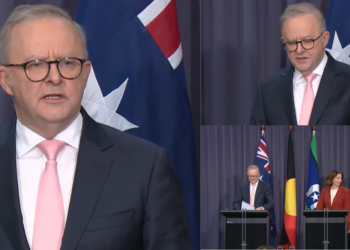 ‘Big tech are not doing enough’ – Albanese threatens DOUBLE fines for platforms failing to block under-16s