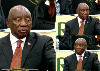 ‘We need to deal with illegal migration’ – Ramaphosa says South Africa ‘cracking down’ but warns against xenophobia