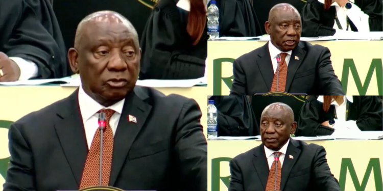 ‘We need to deal with illegal migration’ – Ramaphosa says South Africa ‘cracking down’ but warns against xenophobia