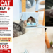 Every Pet Owner’s Nightmare: JB Woman Appeals For Help Finding Missing Cat