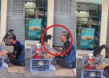 Homeless Man and Puppy Share a Quiet Moment During Another Difficult Day Together