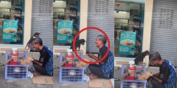 Homeless Man and Puppy Share a Quiet Moment During Another Difficult Day Together