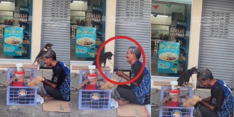 Homeless Man and Puppy Share a Quiet Moment During Another Difficult Day Together