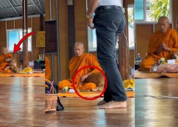 The Dog Cuddling a Monk During Morning Prayer at a Local Temple