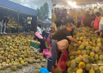 Durians At 20 Cents? Prices in Malaysia Drop to Record Lows Due to Massive Oversupply Nationwide