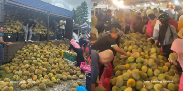 Durians At 20 Cents? Prices in Malaysia Drop to Record Lows Due to Massive Oversupply Nationwide