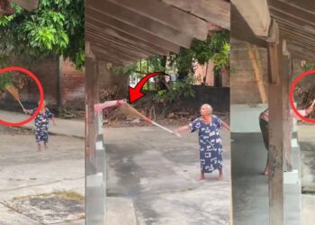 Two Grandmas Fight Like Action Stars In A Backyard Battle But Never Land One Hit