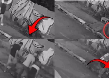 Beware of Damaged Drain Covers: Woman Falls Through Collapsed Sidewalk While Walking Her Dog