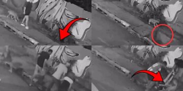 Beware of Damaged Drain Covers: Woman Falls Through Collapsed Sidewalk While Walking Her Dog