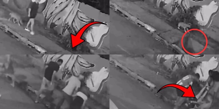 Beware of Damaged Drain Covers: Woman Falls Through Collapsed Sidewalk While Walking Her Dog