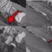 Beware of Damaged Drain Covers: Woman Falls Through Collapsed Sidewalk While Walking Her Dog