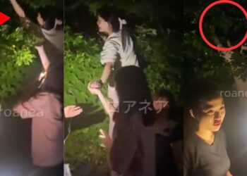 Their Own Videos Became the Evidence: Five Vietnamese Workers Fired and Sent Home After Orchard Theft in Japan
