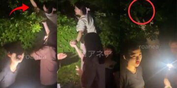 Their Own Videos Became the Evidence: Five Vietnamese Workers Fired and Sent Home After Orchard Theft in Japan