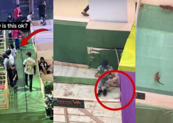 Heartbreaking Scenes at JB Mall Indoor Petting Zoo Prompt Animal Welfare Concerns