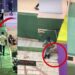 Heartbreaking Scenes at JB Mall Indoor Petting Zoo Prompt Animal Welfare Concerns
