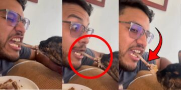 Man and Cat Refuse to Share Leftovers in Chaotic Dinner Battle