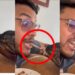 Man and Cat Refuse to Share Leftovers in Chaotic Dinner Battle