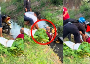 Heartwarming Rescue As Helpful Strangers Save Grandpa and Drowned Bike