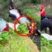 Heartwarming Rescue As Helpful Strangers Save Grandpa and Drowned Bike