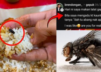Unlucky Customer Gets Free Deep Fried Fly Extra Protein With Ayam Gepuk