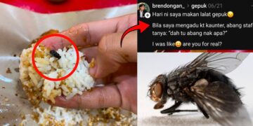 Unlucky Customer Gets Free Deep Fried Fly Extra Protein With Ayam Gepuk