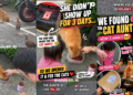 “One Person. Dozens Of Cats.”: Community Reunites With Long-Time Stray Cat Caregiver