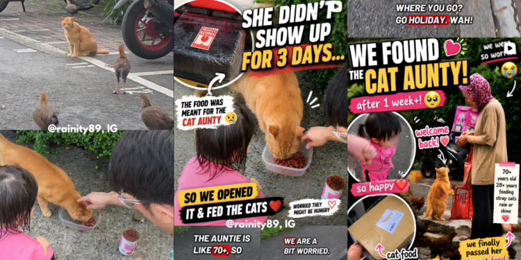 “One Person. Dozens Of Cats.”: Community Reunites With Long-Time Stray Cat Caregiver