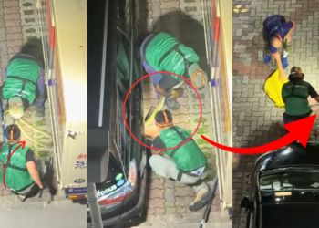 NParks Officers Seen Rescuing Snake Found Hiding Under Parked Car at Beach Road
