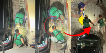 NParks Officers Seen Rescuing Snake Found Hiding Under Parked Car at Beach Road