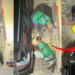 NParks Officers Seen Rescuing Snake Found Hiding Under Parked Car at Beach Road