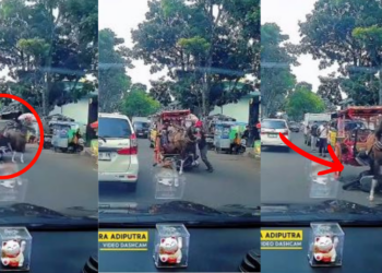 When Horsepower Meets Horse Power, The Horse Wins After Motorcycle Crashes Into Carriage