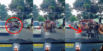 When Horsepower Meets Horse Power, The Horse Wins After Motorcycle Crashes Into Carriage
